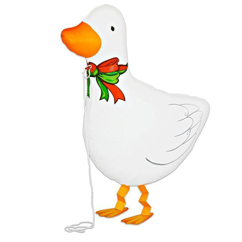 Sachet d'un ballon aluminium canard