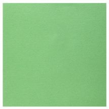 Serviettes celisoft vert pomme