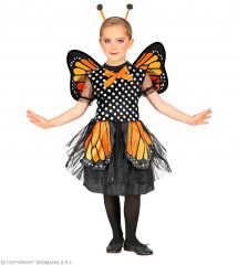déguisement papillon  - taille 6 ans