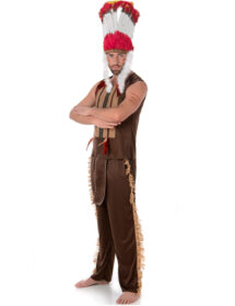 Costume indien / taille L