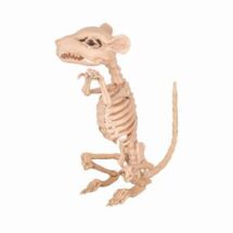 rat squelette -30 cm