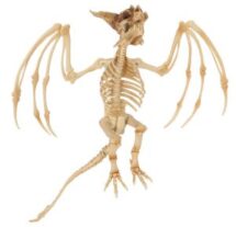 Dragon squelette -55 cm